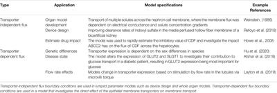 Mechanistic Computational Models of Epithelial Cell Transporters-the Adorned Heroes of Pharmacokinetics